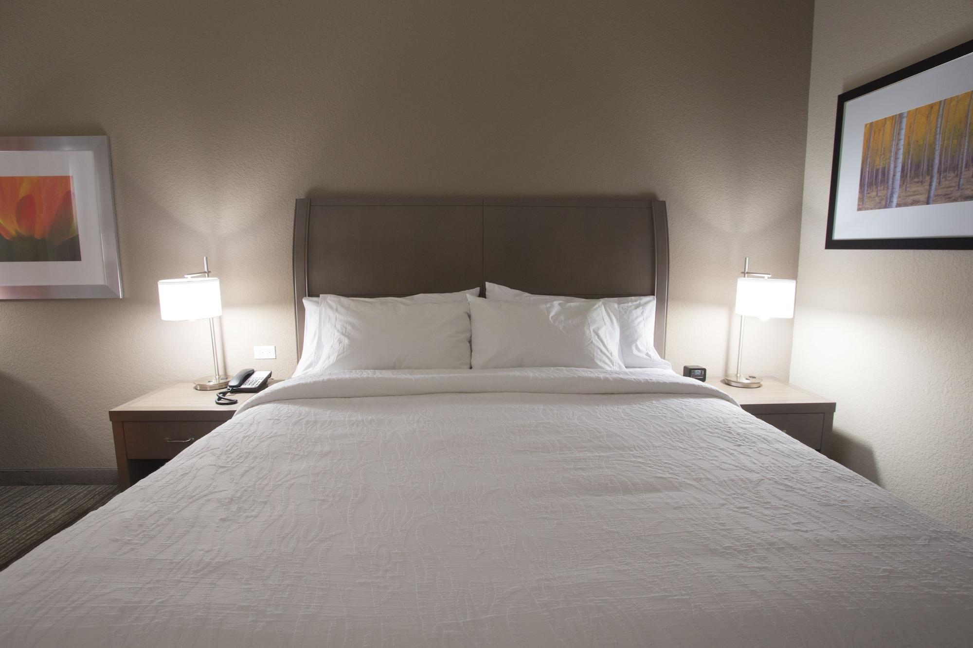 Hilton Garden Inn Bolingbrook I-55 Extérieur photo